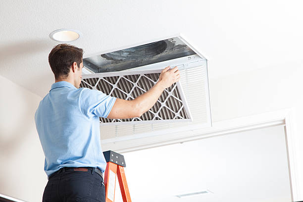 Best HVAC air duct cleaning  in Nocatee, FL